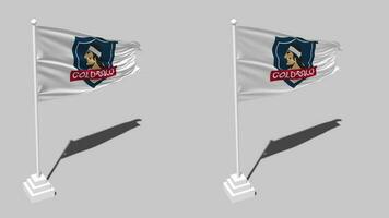 Club Social y Deportivo Colo Colo Flag Seamless Looped Waving with Pole Base Stand, Isolated on Alpha Channel Black and White Matte, Plain and Bump Texture Cloth, 3D Render video