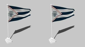 Club Alianza Lima Flag Seamless Looped Waving with Pole Base Stand, Isolated on Alpha Channel Black and White Matte, Plain and Bump Texture Cloth, 3D Render video