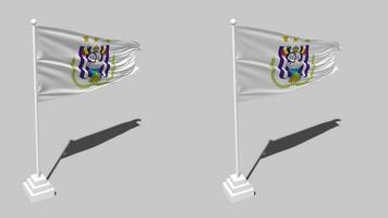 Royal Sporting Club Anderlecht Flag Seamless Looped Waving with Pole Base Stand, Isolated on Alpha Channel Black and White Matte, Plain and Bump Texture Cloth, 3D Render video