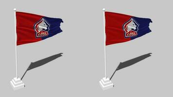 lille olímpico deportivo club, perdido lille bandera sin costura serpenteado ondulación con polo base pararse, aislado en alfa canal negro y blanco mate, llanura y bache textura paño, 3d hacer video