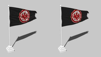 eintracht frankfurt bandera sin costura serpenteado ondulación con polo base pararse, aislado en alfa canal negro y blanco mate, llanura y bache textura paño, 3d hacer video