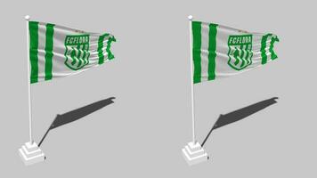 FC Flora, Flora Tallinn Flag Seamless Looped Waving with Pole Base Stand, Isolated on Alpha Channel Black and White Matte, Plain and Bump Texture Cloth, 3D Render video