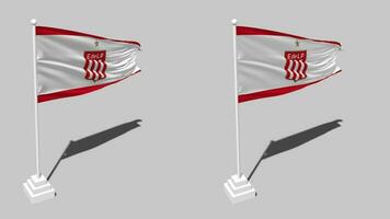 Estudiantes de La Plata Flag Seamless Looped Waving with Pole Base Stand, Isolated on Alpha Channel Black and White Matte, Plain and Bump Texture Cloth, 3D Render video