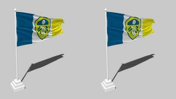 Leeds Verenigde Amerikaans voetbal club vlag naadloos lusvormige golvend met pool baseren stellage, geïsoleerd Aan alpha kanaal zwart en wit mat, duidelijk en buil structuur lap, 3d geven video