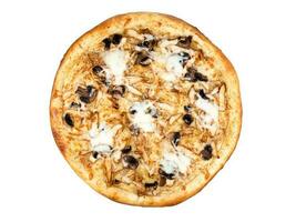 Pizza with cheez and mushrooms isolated on white background photo