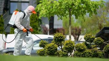 profesional caucásico jardinero insecticida jardín arboles video