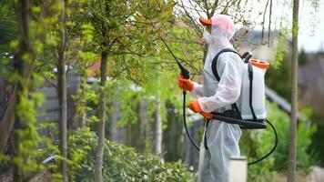 jardinero insecticida Pera árbol dentro su jardín video
