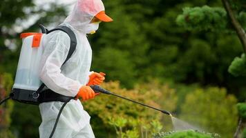 profesional jardinero trabajador insecticida patio interior jardín plantas. video