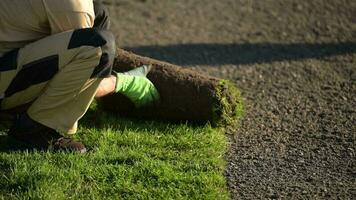 natuurlijk gras installatie door professioneel Kaukasisch tuinman in zijn jaren '30 video