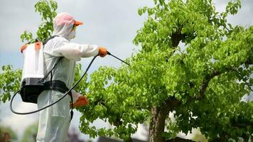 jardín plantas fungicida y insecticida video