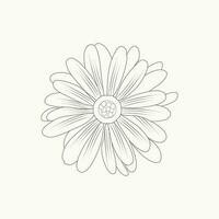 Hand-drawn simple essential flower outline illustration vector