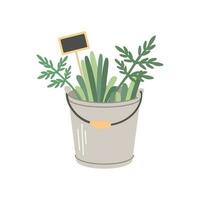 Metal garden bucket with grass and plants and a wooden sign on a white background. Flat gardening  drawing. vector