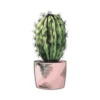 Hand drawn colored vector sketch of a cactus  in a pot. Isolated element for design. Vintage illustration. Element for the design of labels, packaging and postcards.