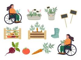 Cute gardening elements - carrots, beet, tomato, boxes of vegetables, plants in buckets, rubber boots, signs for plants. A woman in a wheelchair is gardening. Gardening and harvesting flat vector set.