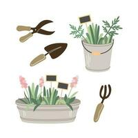 Garden tools and accessories. Collection. Bucket, tin pot, plants, shovel, pitchfork, garden shears, wooden signs. Vector illustrations  isolated on white background. Gardening flat vector set.