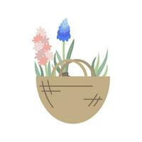 Hyacinth and lavender flowers in canvas bag. Flat vector icon isolated on white background. Illustration of garden elements.