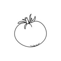 Tomato icon in outline style. Isolated object. Tomato logo. Organic food. Vector illustration. Vegetable from the farm.