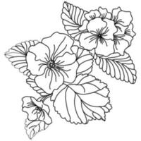 primrose bouquet illustration vector