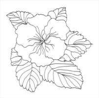 primrose flower with leaves sketch vector