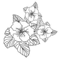 flower arrangement of primrose flowers lineart vector