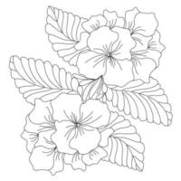 primrose bouquet freehand drawing vector