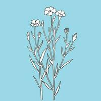 Forget-me-not on a blue background.  Realistic, hand-drawn illustration on a blue background. Can be used for postcards, invitations, advertising, web. vector