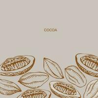 Cocoa set background template. Hand drawn sketch cocoa beans, and cocoa tree. Organic product design element for label, banner, poster, emblem, card, logo .Vector illustration vector