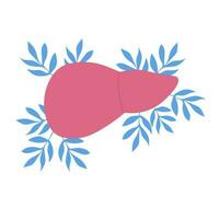 Liver organ hand drawn flat vector illustration on isolated white background. For medicine, gastroenterologist, infectious disease specialist, for World Hepatitis Day, for World Healthy Liver Day