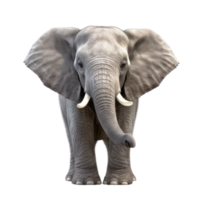 Illustration painting of cute elephant isolated transparent background, Digital art, , png