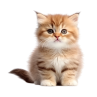 Illustration Gemälde von süß Katze isoliert transparent Hintergrund, Digital Kunst, ai generiert, generativ ai png