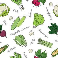 Outline vegetables seamless pattern with colored elements . Collection different types of vegetables in line art drawing style. vector