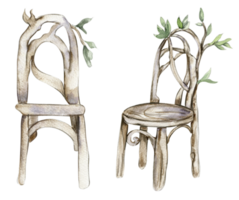 trä- stolar för fe. vattenfärg hand dragen illustration . png