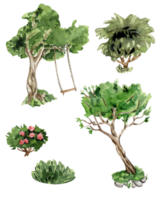 verde albero e cespugli . acquerello mano disegnato illustrazione . png