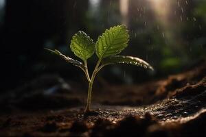 Green seedling illustrating concept of new life and eco-friendly development generative ai photo