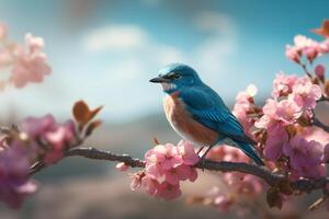 Blue bird on sakura branch with pink flowers in spring time. photo