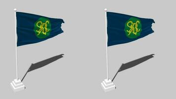 Southern African Development Community, SADC Flag Seamless Looped Waving with Pole Base Stand and Shadow, Isolated on Alpha Channel Black and White Matte, Plain and Bump Texture Cloth Variations video