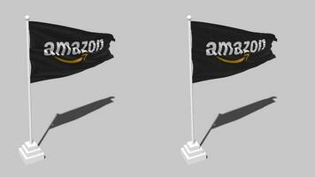 amazone la toile prestations de service drapeau sans couture en boucle agitant avec pôle base supporter et ombre, isolé sur alpha canal noir et blanc mat, plaine et bosse texture tissu variantes, 3d le rendu video