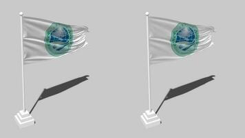 Shanghai Cooperation Organisation, SCO Flag Seamless Looped Waving with Pole Base Stand and Shadow, Isolated on Alpha Channel Black and White Matte, Plain and Bump Texture Cloth Variations, 3D Render video