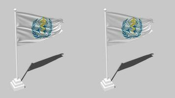 World Health Organization, WHO Flag Seamless Looped Waving with Pole Base Stand and Shadow, Isolated on Alpha Channel Black and White Matte, Plain and Bump Texture Cloth Variations, 3D Rendering video