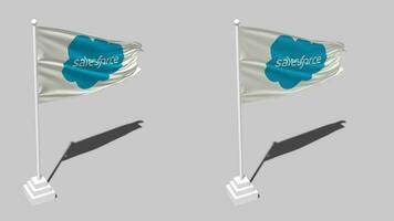 Salesforce Inc Flag Seamless Looped Waving with Pole Base Stand and Shadow, Isolated on Alpha Channel Black and White Matte, Plain and Bump Texture Cloth Variations, 3D Rendering video