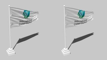 internacional Grilo conselho, cc bandeira desatado em loop acenando com pólo base ficar em pé, isolado em alfa canal Preto e branco fosco, avião e colisão textura pano variação 3d render video