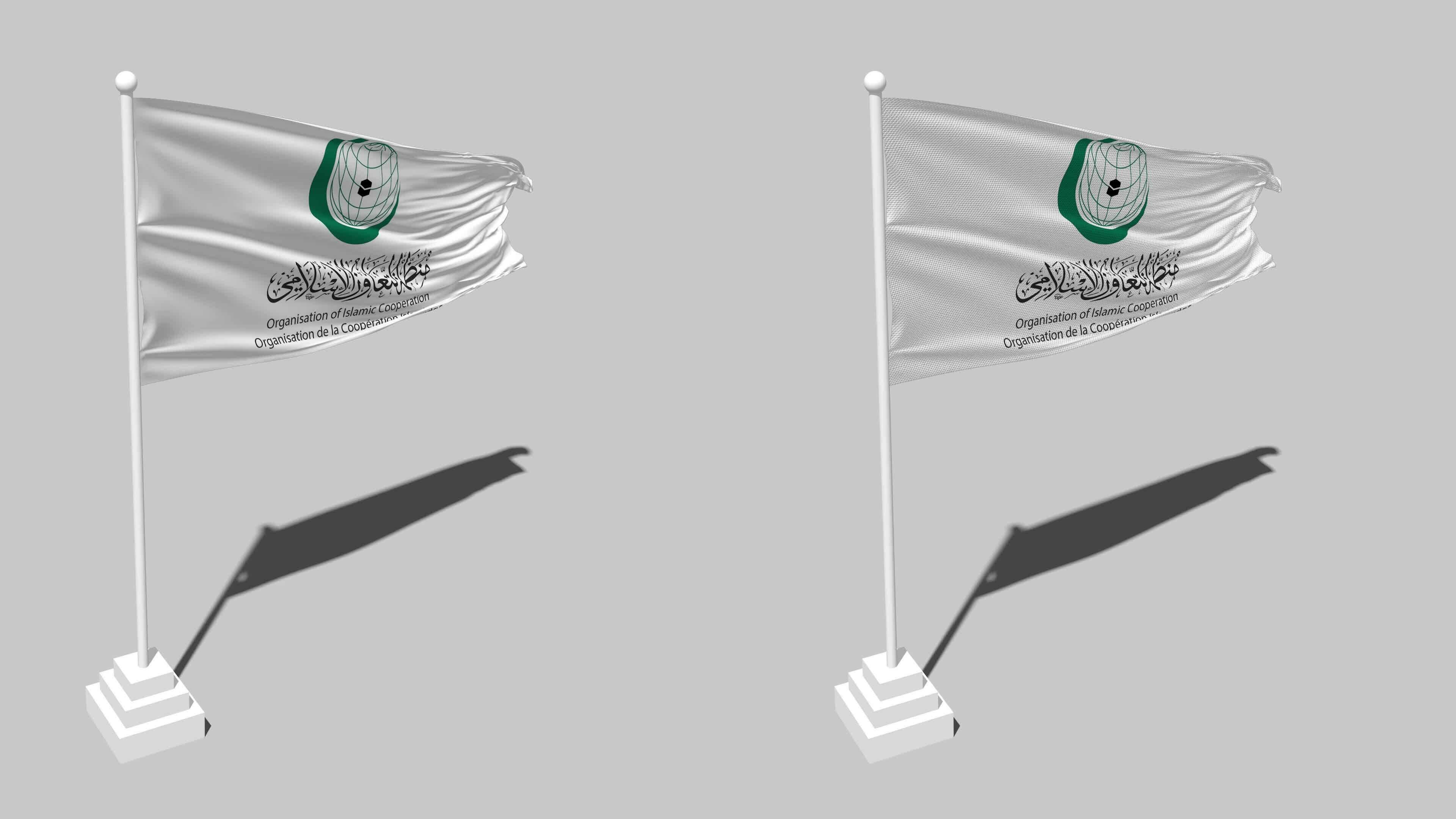 Organisation of Islamic Cooperation, OIC Flag Seamless Looped Waving