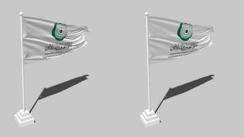 Organisation von islamisch Zusammenarbeit, oic Flagge nahtlos geloopt winken mit Pole Base Stand und Schatten, isoliert auf Alpha Kanal schwarz und Weiß matt, einfach und stoßen Textur Stoff Variationen 3d machen video