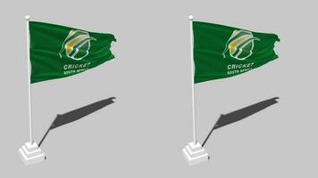 Grillo sur África, csa bandera sin costura serpenteado ondulación con polo base pararse, aislado en alfa canal negro y blanco mate, llanura y bache textura paño variación 3d hacer video