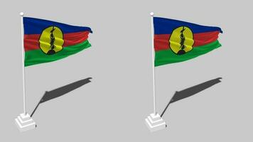 New Caledonia Flag Seamless Looped Waving with Pole Base Stand and Shadow, Isolated on Alpha Channel Black and White Matte, Plain and Bump Texture Cloth Variations, 3D Rendering video