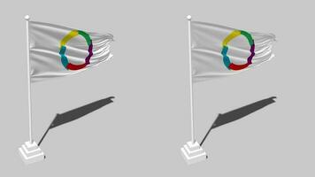 Organisation internationale de la Francophonie, OIF Flag Seamless Looped Waving with Pole Base Stand and Shadow, Isolated on Alpha Channel Black and White Matte, Plain and Bump Texture Cloth video