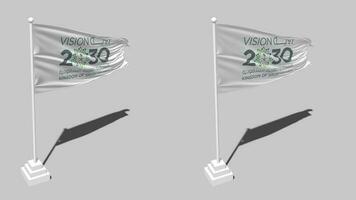 Saudi Vision 2030 Flag Seamless Looped Waving with Pole Base Stand and Shadow, Isolated on Alpha Channel Black and White Matte, Plain and Bump Texture Cloth Variations, 3D Rendering video