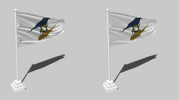 Eurasian Economic Union, EAEU, EEU Flag Seamless Looped Waving with Pole Base Stand and Shadow, Isolated on Alpha Channel Black and White Matte, Plain and Bump Texture Cloth Variations, 3D Rendering video