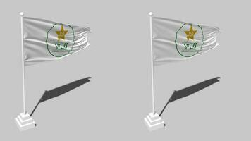 Pakistan Cricket Board, PCB Flag Seamless Looped Waving with Pole Base Stand, Isolated on Alpha Channel Black and White Matte, Plain and Bump Texture Cloth Variation 3D Render video