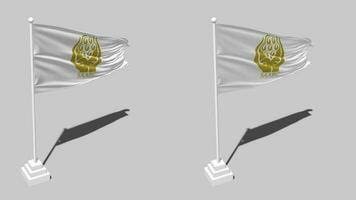 South Asian Association for Regional Cooperation, SAARC Flag Seamless Looped Waving with Pole Base Stand and Shadow, Isolated on Alpha Channel Black and White Matte, Plain and Bump Texture Cloth video